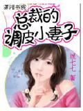 總裁的調皮小妻子