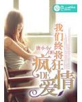 我們終將瘋狂的愛情