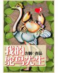 我的鴕鳥先生