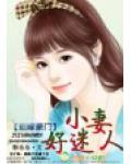 拒嫁豪門，小妻好迷人