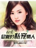 掠愛:總裁的私寵情人