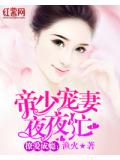 撩愛成癮：帝少寵妻夜夜忙