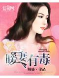 暖妻有毒