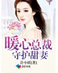 暖心總裁守護甜妻
