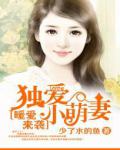 暖愛來襲：獨愛小萌妻