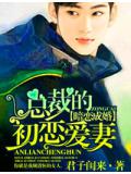 暗戀成婚,總裁的初戀愛妻