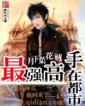 最強高手在都市