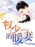權少的暖妻