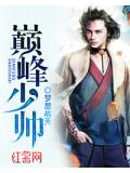 巔峰少帥