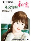 束手就情:外交官的私寵