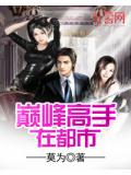 巔峰高手在都市