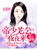 枕上甜妻：帝少老公夜夜來