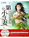 梟寵毒妃:第一小狂妻