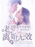 步步成婚:老婆,離婚無效