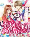 毒舌小妞的美男後宮