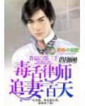 毒舌律師，追妻一百天