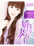 溫寵入骨：嬌妻在上