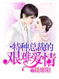特種總裁的艱難愛情