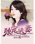 獨寵逃妻