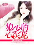 狼少的心尖寵