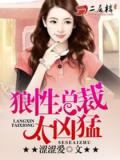 狼性總裁太凶猛