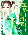 王爺的侍妾