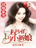 甜婚蜜寵:權少的1號小新娘