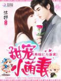 甜寵小萌妻:再嫁億萬首席