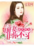 盛世婚寵：前妻，非你不可