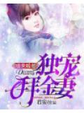 盛世暖婚：獨寵拜金妻
