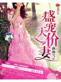 盛寵天價妻