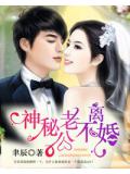 神祕老公不離婚