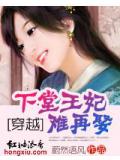 穿越:下堂王妃難再娶
