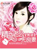 精英老公無良妻