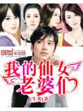 我的仙女老婆們