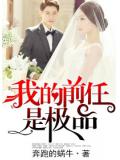 我的前任是極品