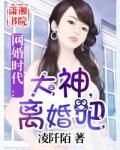 網婚時代：大神,離婚吧