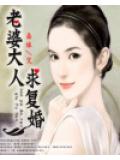 老婆大人求復婚