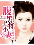 腹黑上將小小妻