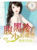 腹黑冷少的暖婚