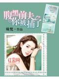 腹黑前夫，你被捕了