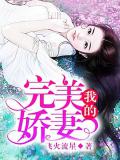 我的完美嬌妻