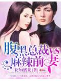 腹黑總裁vs麻辣前妻