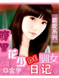 腹黑花少的馴女日記