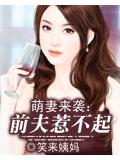 萌妻來襲:前夫惹不起