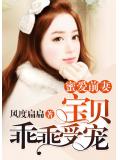 蜜愛前妻：寶貝乖乖受寵