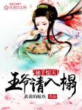 袖手驚天：王爺請入榻