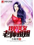 我的美女老師姐姐