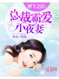 裙下之臣：總裁霸愛小夜妻