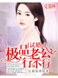 試婚：極品老公行不行